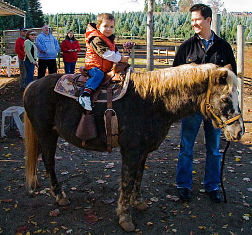 horses and ponies. Very gentle horses and ponies