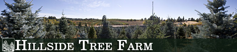 Hillside Tree Farm, Camino (Apple Hill) Ca.