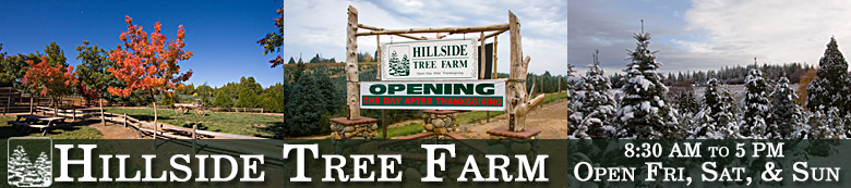 Hillside Tree Farm