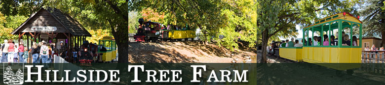 Hillside Tree Farm - Apple Ridge Express